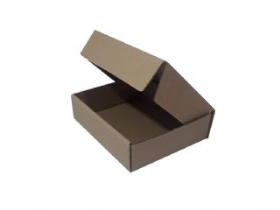 25 Caixas de Papel�o 23x19x6 cm - Atacado