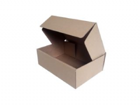 25 Caixas de Papel�o 27x18x9 cm - Atacado