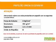 25 Caixas de Papel�o 46,5x33,7x8 cm - Onda B comum
